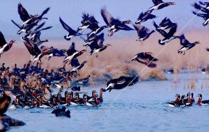 دریاچه مهارلو  سامانه جامع گردشگری رستاک