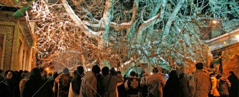 چنار خونبار زرآباد درختی است که هر سال ظهر عاشورا از آن مایع رنگینی به مانند خون تراوش می‌کند، عباراتی که باعث شده، این درخت در کنار قلعه الموت به جاذبه‌ای مشهور تبدیل شود.