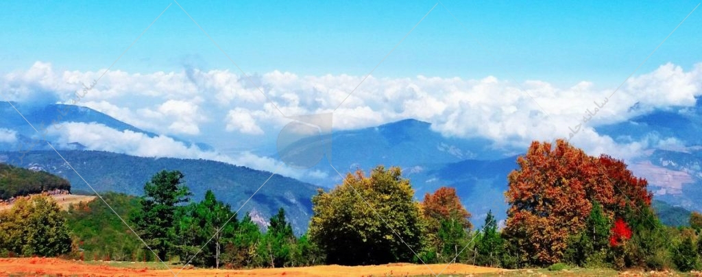 جنگل ابر شاهرود قسمتی از قدیمی‌ترین و زیباترین جنگلهای هیرکانی است