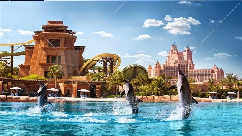 دلفیناریوم دبی جایی‌ست که علاوه بر اینکه می‌توانید بازی و شیرین کاری‌های دلفین‌ها را تماشا کنید بلکه به شما اجازه داده می‌شود که نزدیک آن‌ها شوید و برای دقایقی در آب شنا کنید و تفریح و هیجانی متفاوت را تجربه کنید