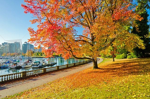   پارک استنلی در ونکوور 