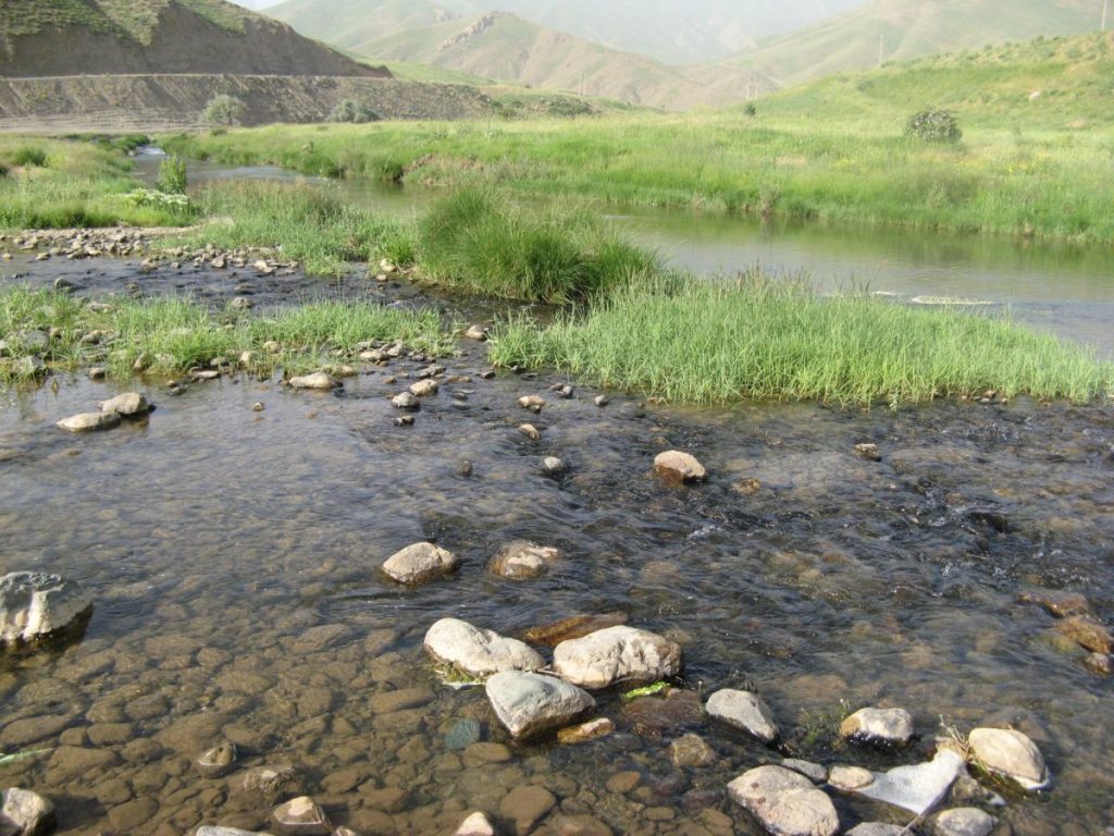گوشه ای از طبیعت بهاری کردستان عکس از رستاک