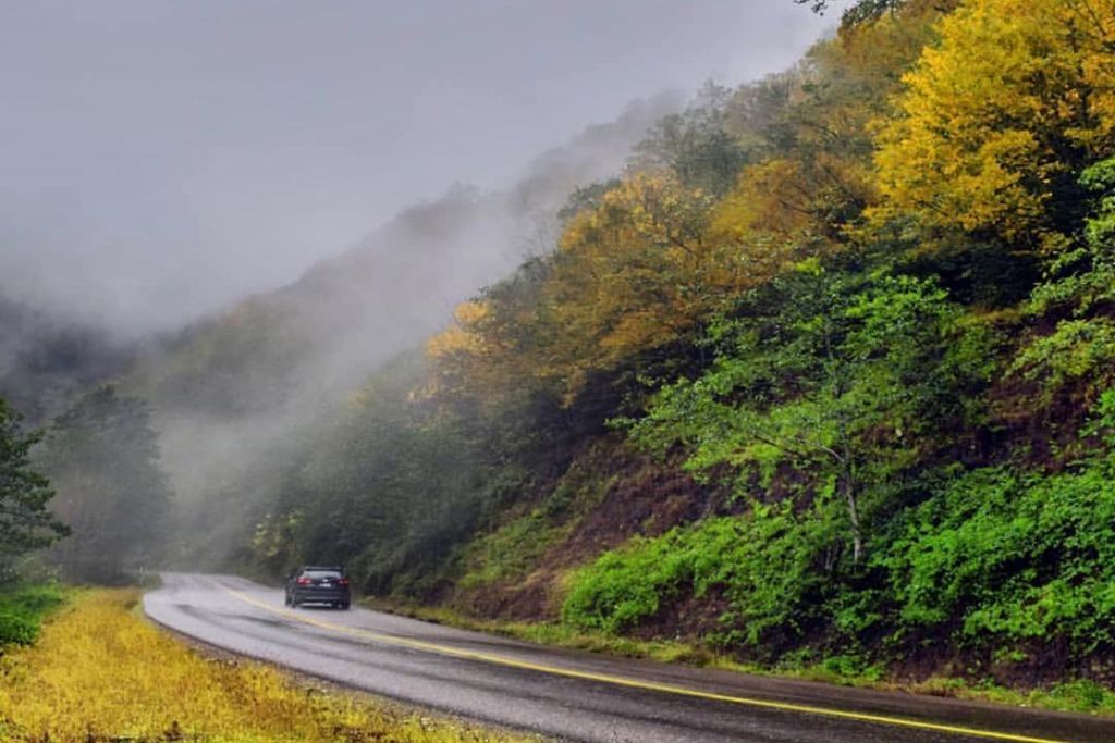 جاده سیاهکل به دیلمان
در طول مسیر 26 کیلومتری دو شهر سیاهکل و دیلمان استان گیلان تصویری از بهشت بر روی زمین برای مسافران پدیدار می‌شود. این جاده از میان جنگلی ابری و مه آلود رد شده و تصویری بی نظیر را برای افراد خلق می‌کند.