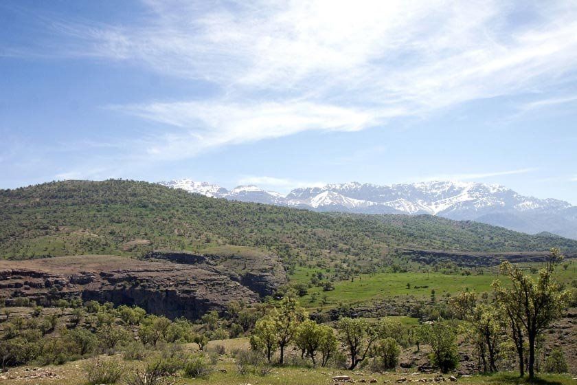 منطقه حفاظت شده سبز کوه