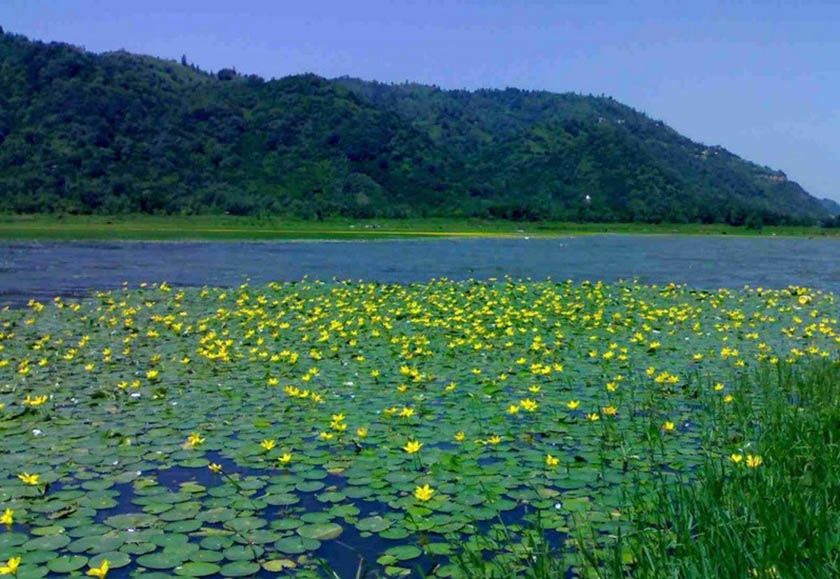 طبیعت زیبای دریاچه کومله