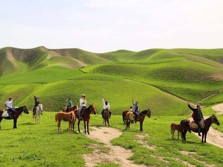 ترکمن صحرا مهد  اسب های اصیل ایرانی