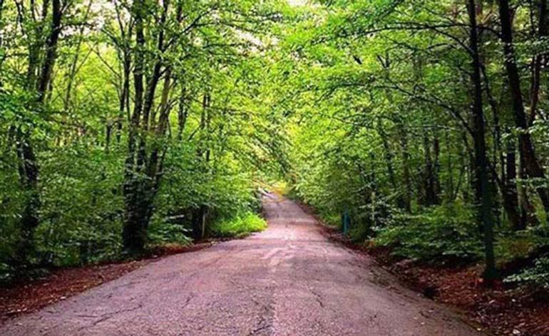 مسیر دسترسی به پارک جنگلی سراوا